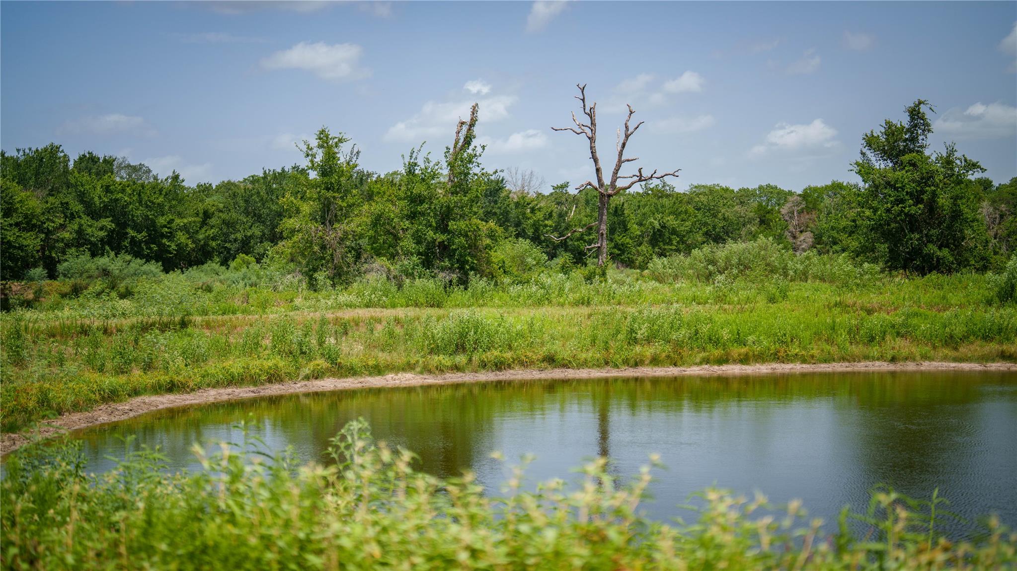 7221 Old Lockhart RD, Muldoon, TX 78949 photo 5