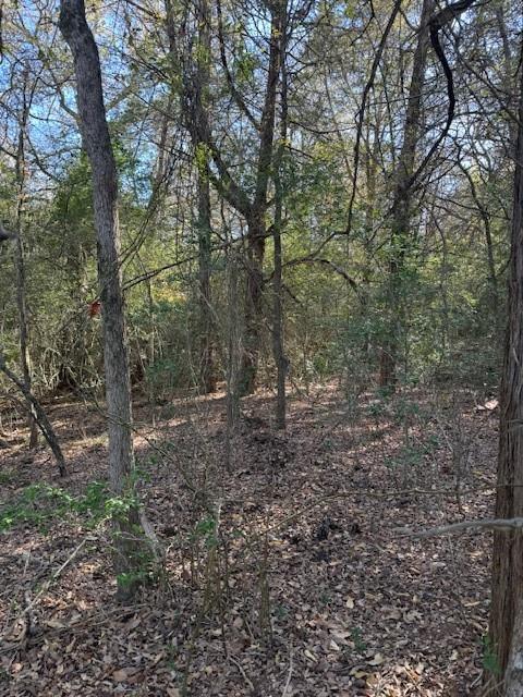 125 Helemano DR, Bastrop, TX 78602 photo 2