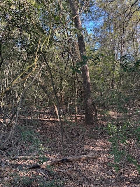 125 Helemano DR, Bastrop, TX 78602 photo 3