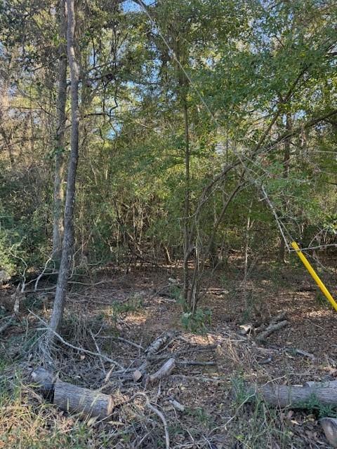 125 Helemano DR, Bastrop, TX 78602 photo 5