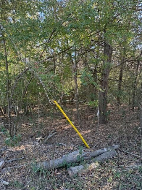 125 Helemano DR, Bastrop, TX 78602 photo 4