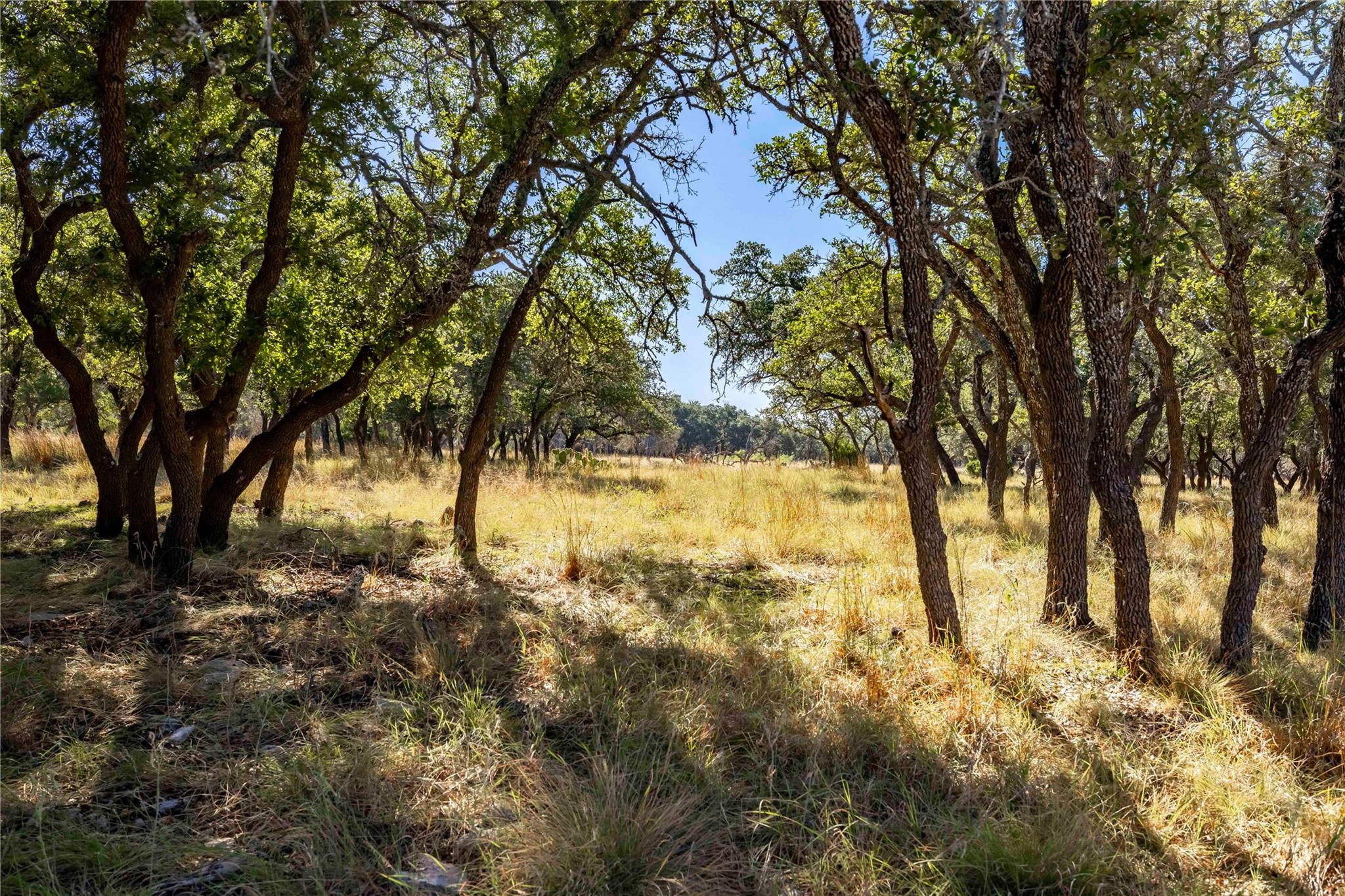 TBD Legacy Oaks DR, Harper, TX 78631 photo 3