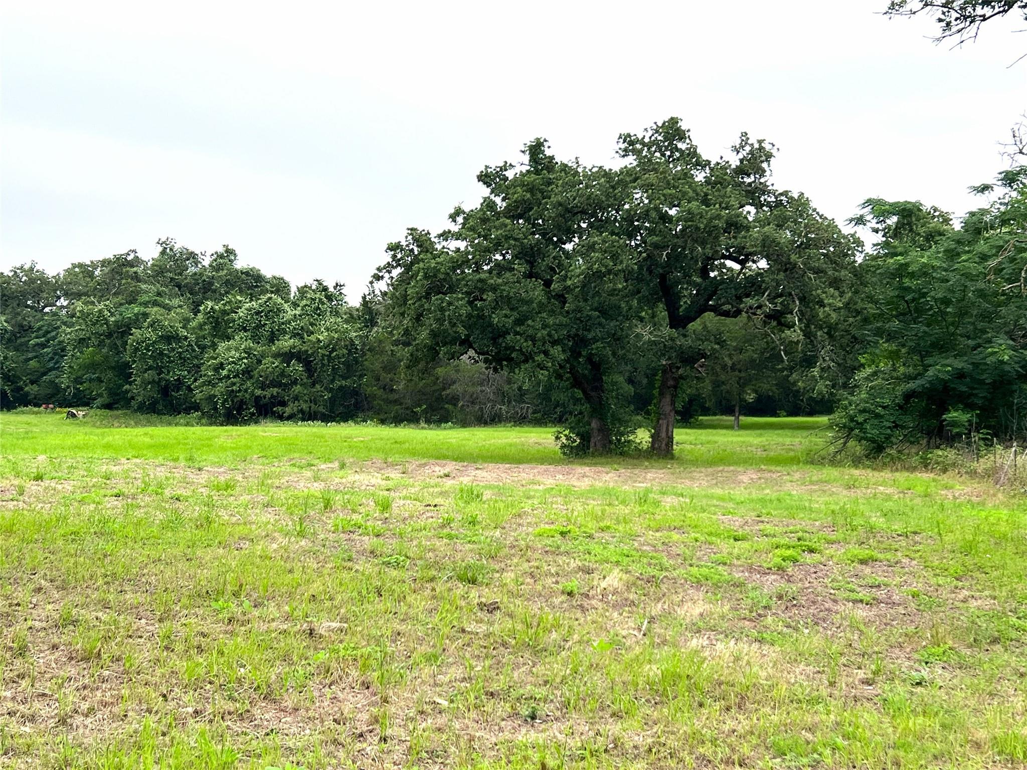 00 Rosanky Cattle Company RD, Rosanky, TX 78953 photo 3