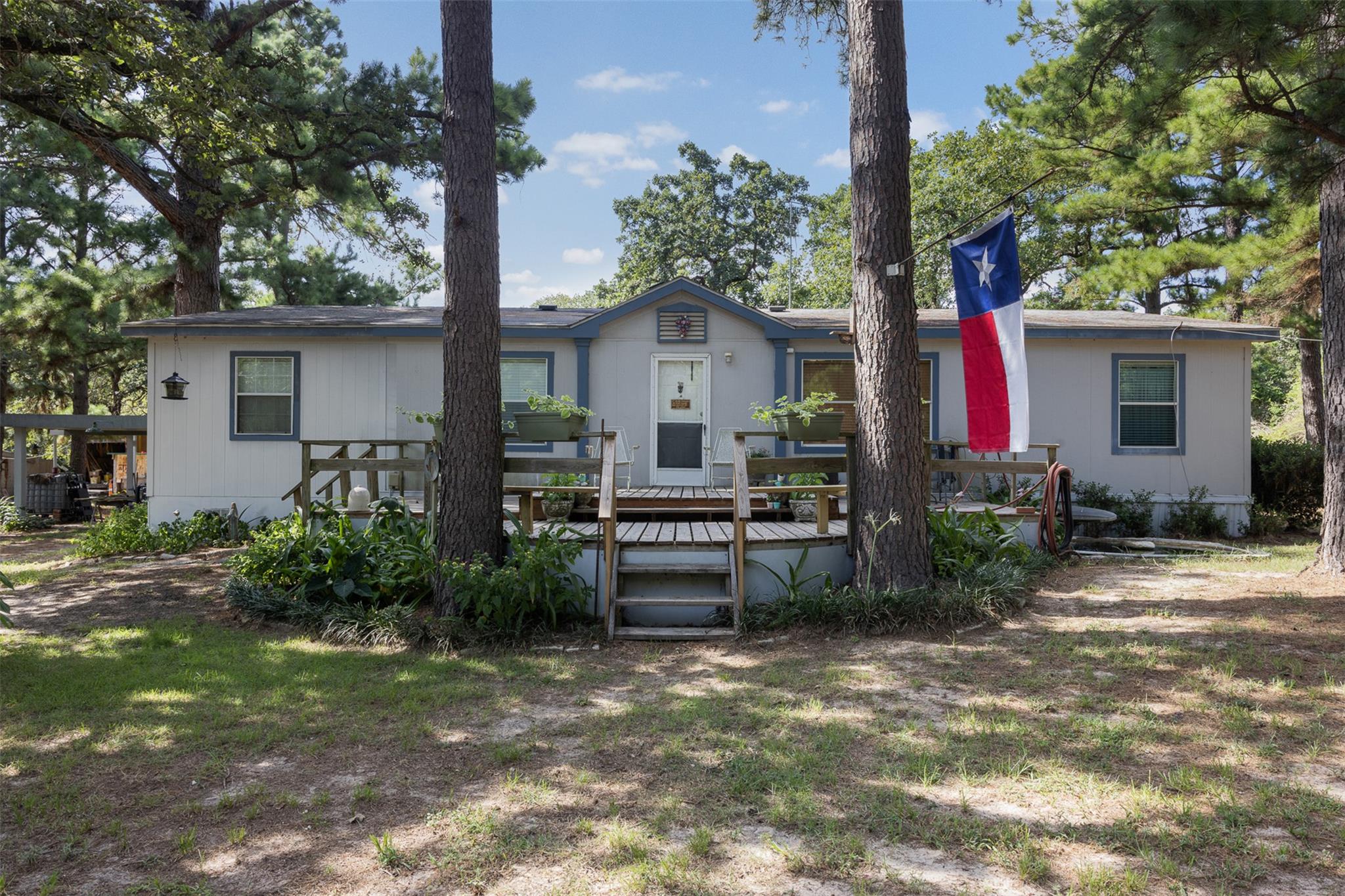 Lin Luce Ranches #3