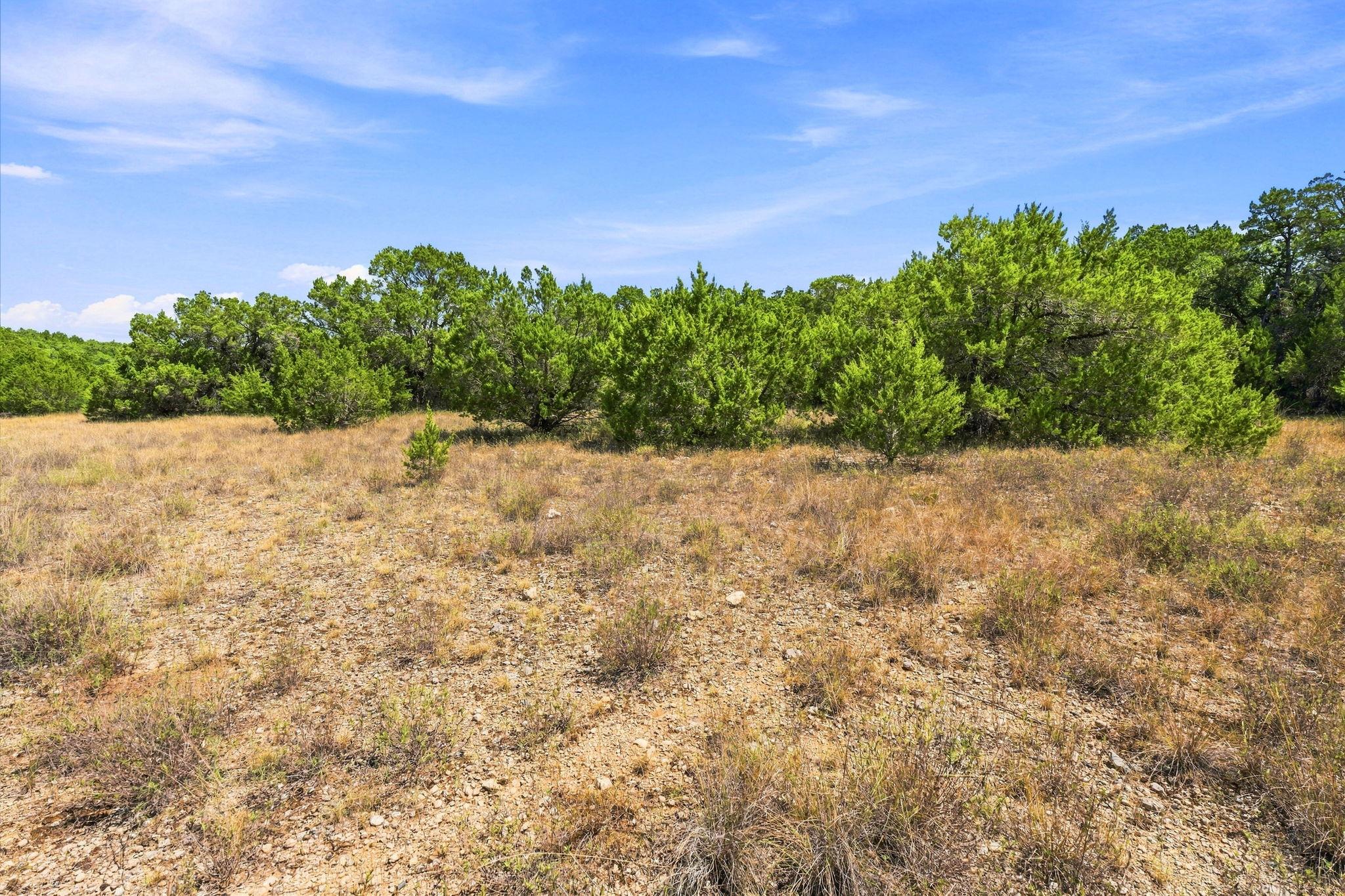 TBD Tract 1 & 2 (22.5 Ac) Lipan RUN, Fischer, TX 78623 photo 3