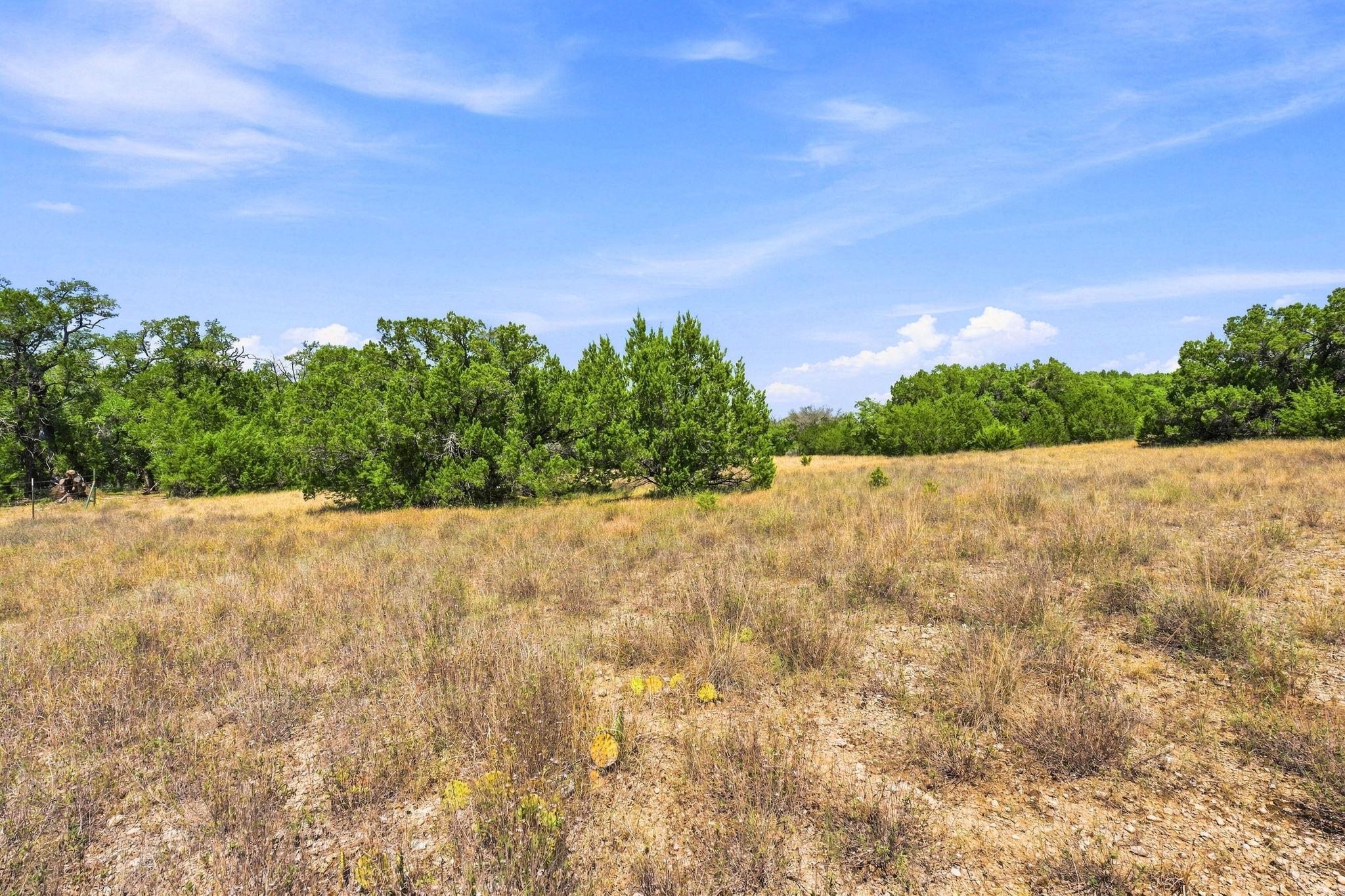 TBD Tract 1 & 2 (22.5 Ac) Lipan RUN, Fischer, TX 78623 photo 5