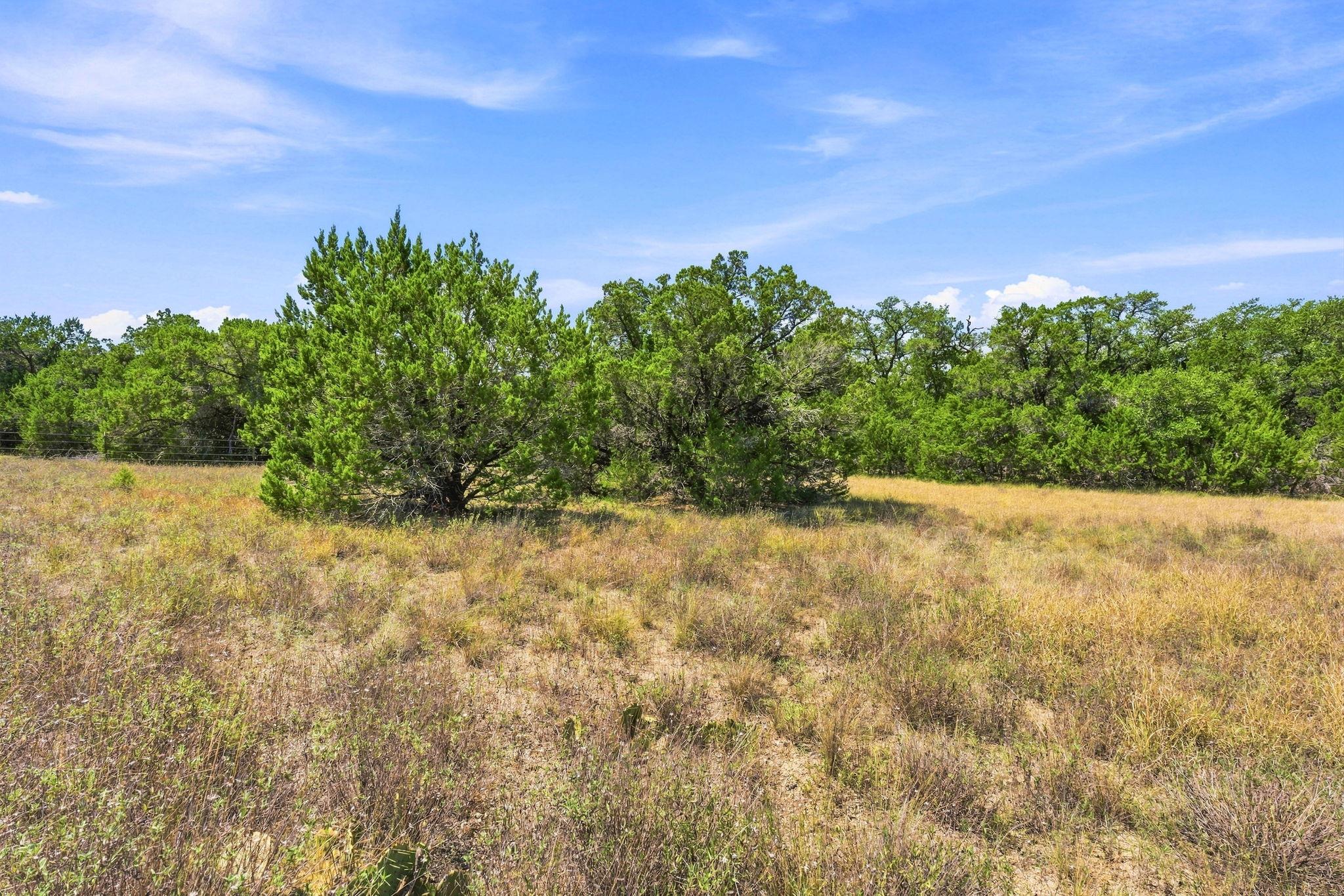 TBD Tract 1 & 2 (22.5 Ac) Lipan RUN, Fischer, TX 78623 photo 4