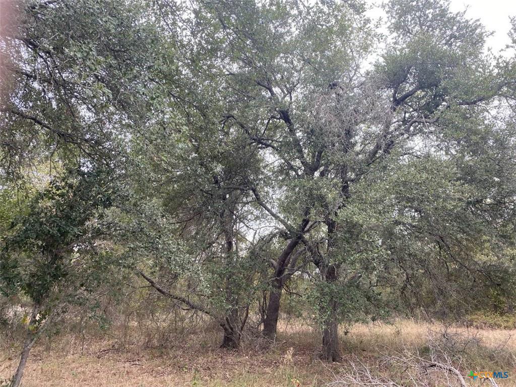 TBD County Road 405, Buckholts, TX 76518 photo 2