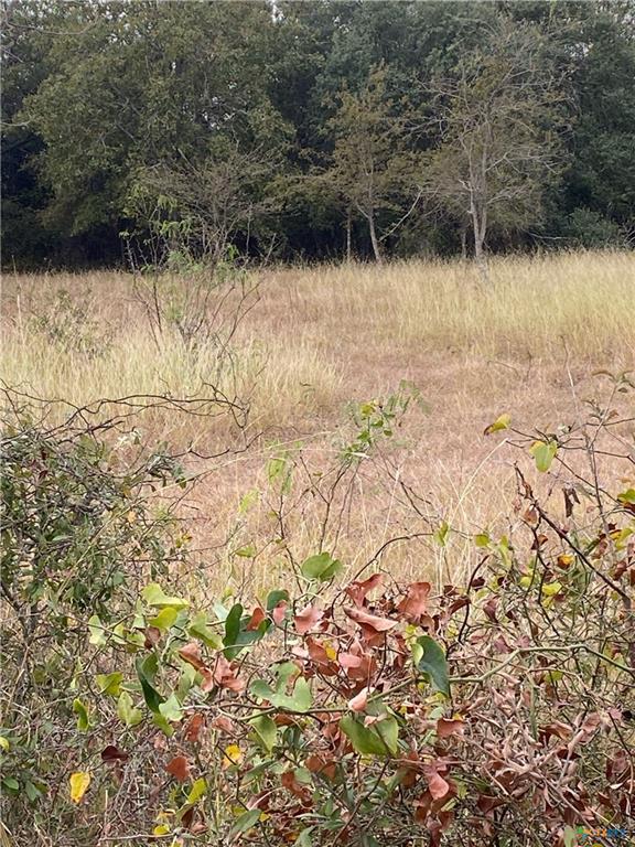 TBD County Road 405, Buckholts, TX 76518 photo 3