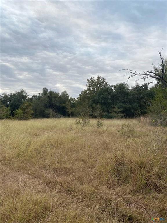 TBD County Road 405, Buckholts, TX 76518 photo 5