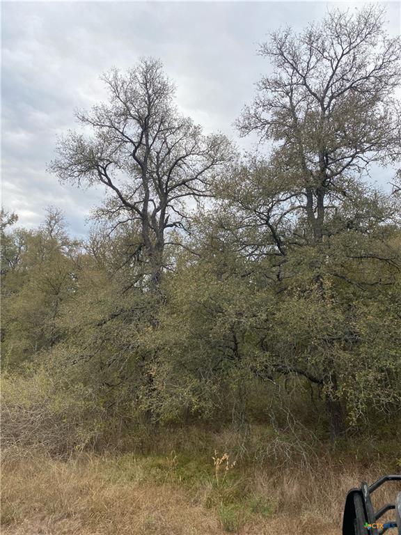 TBD County Road 405, Buckholts, TX 76518 photo 4