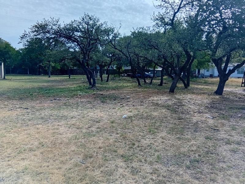 1325 Old Austin Rock RD, Round Rock, TX 78681 photo 4