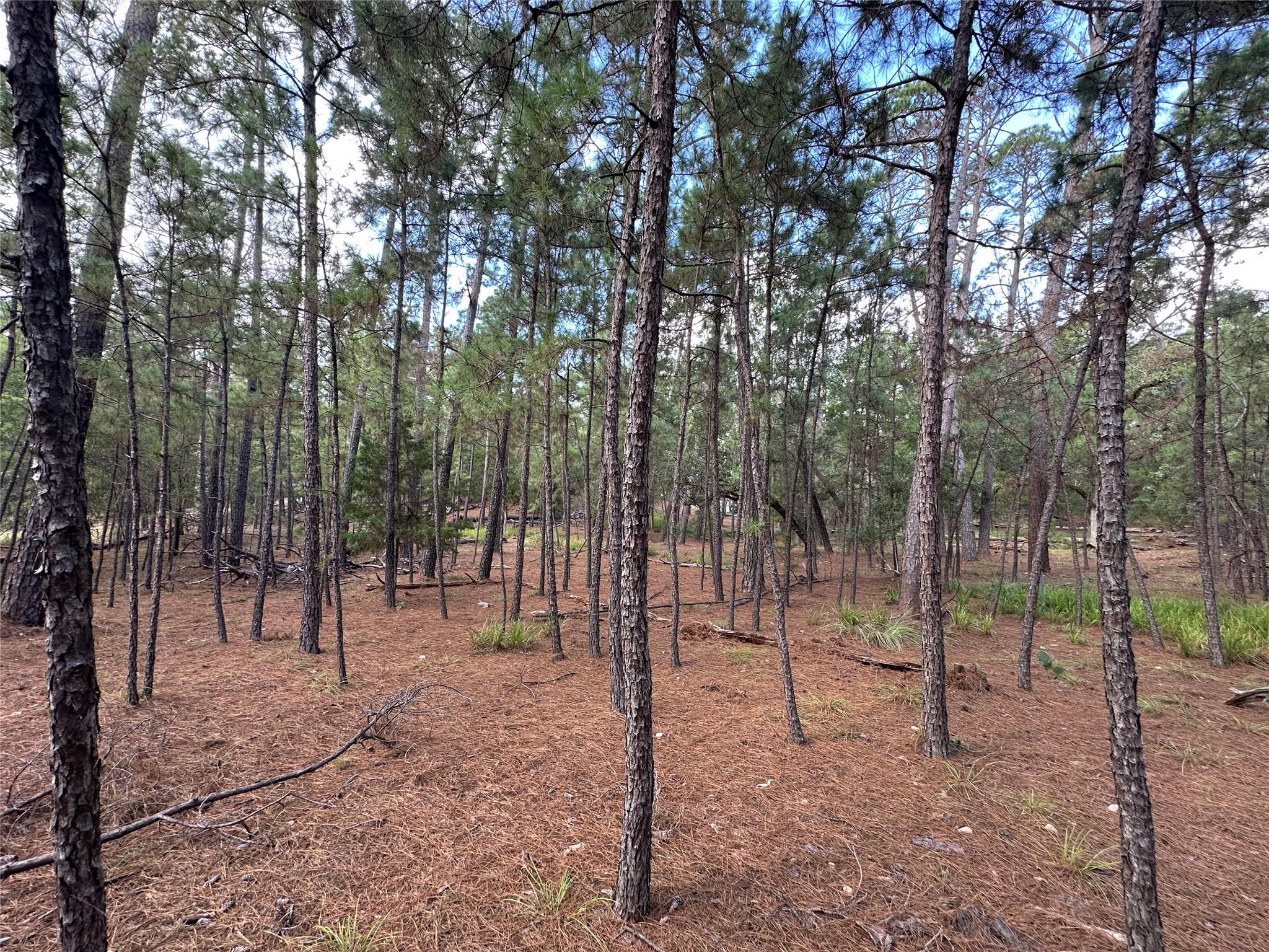 Clear Lake Pines - Sec 4