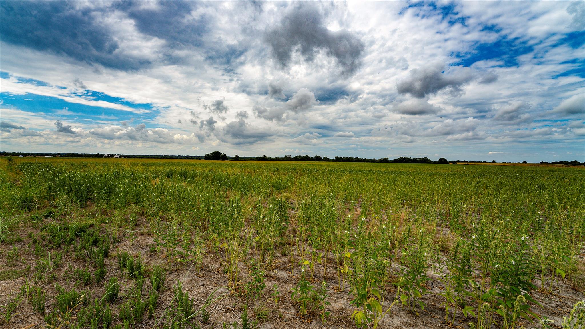 TBD FM 3061 #B, Thorndale, TX 76577 photo 2