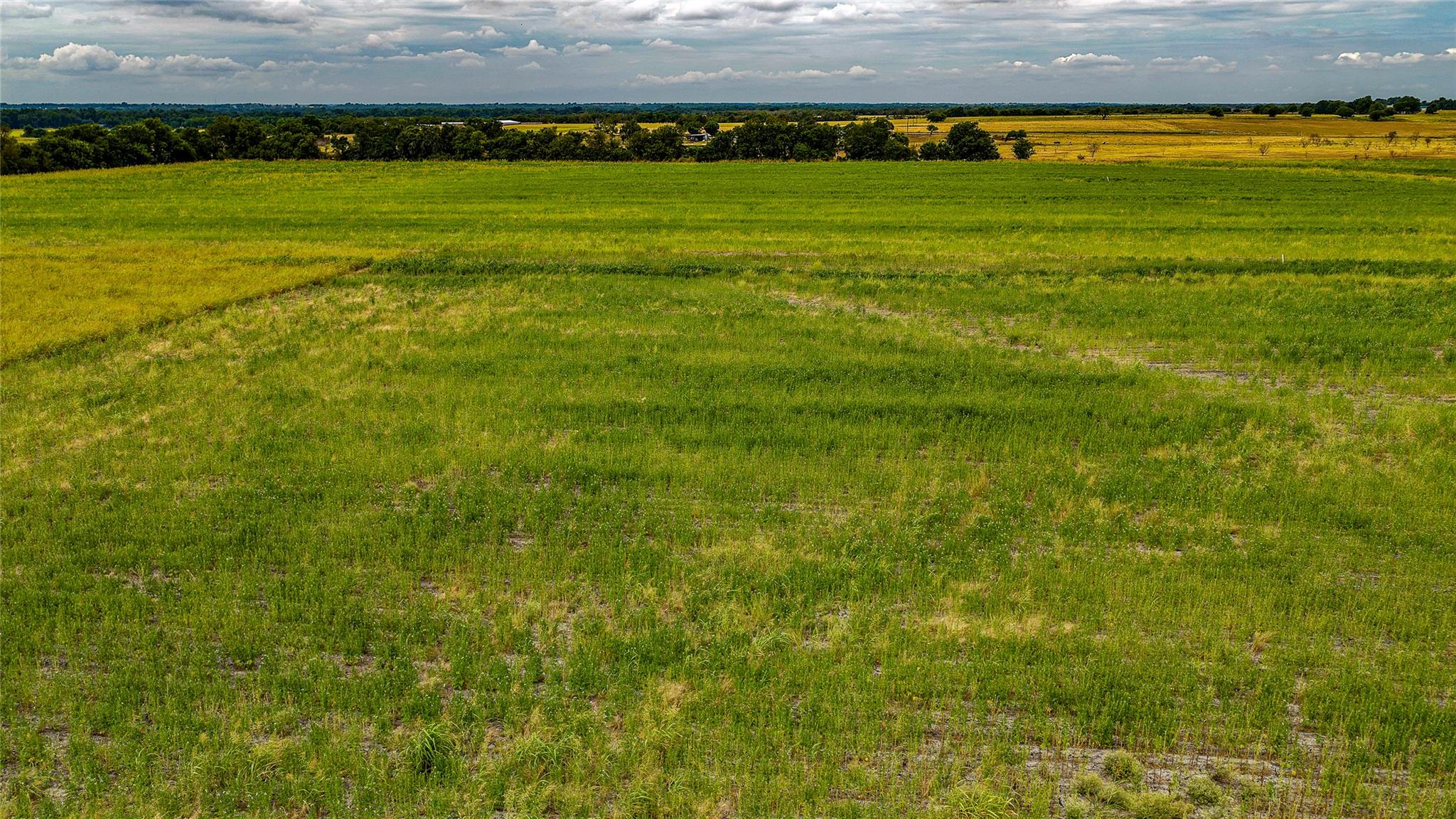 TBD FM 3061 #B, Thorndale, TX 76577 photo 5