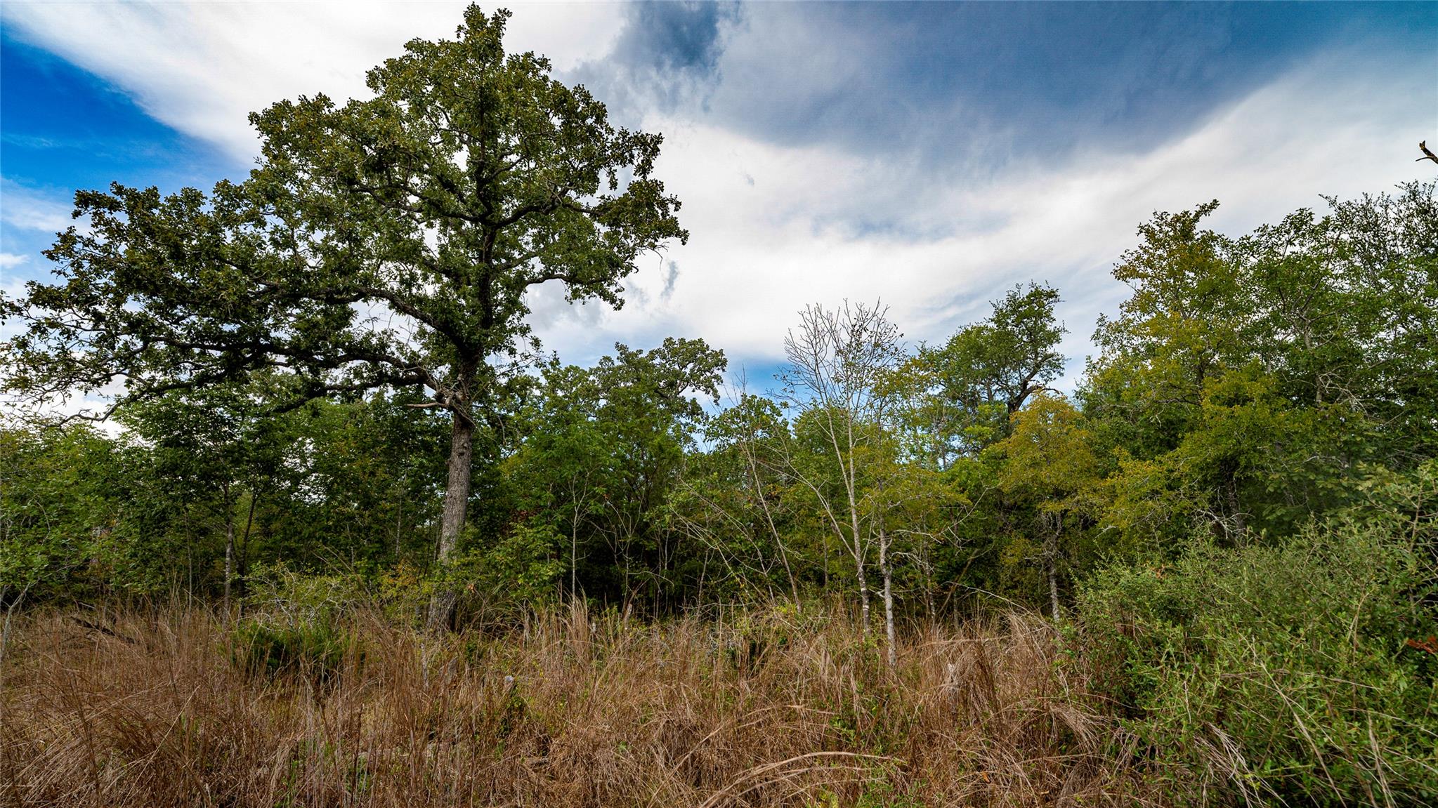 TBD CR 405, Buckholts, TX 76518 photo 2