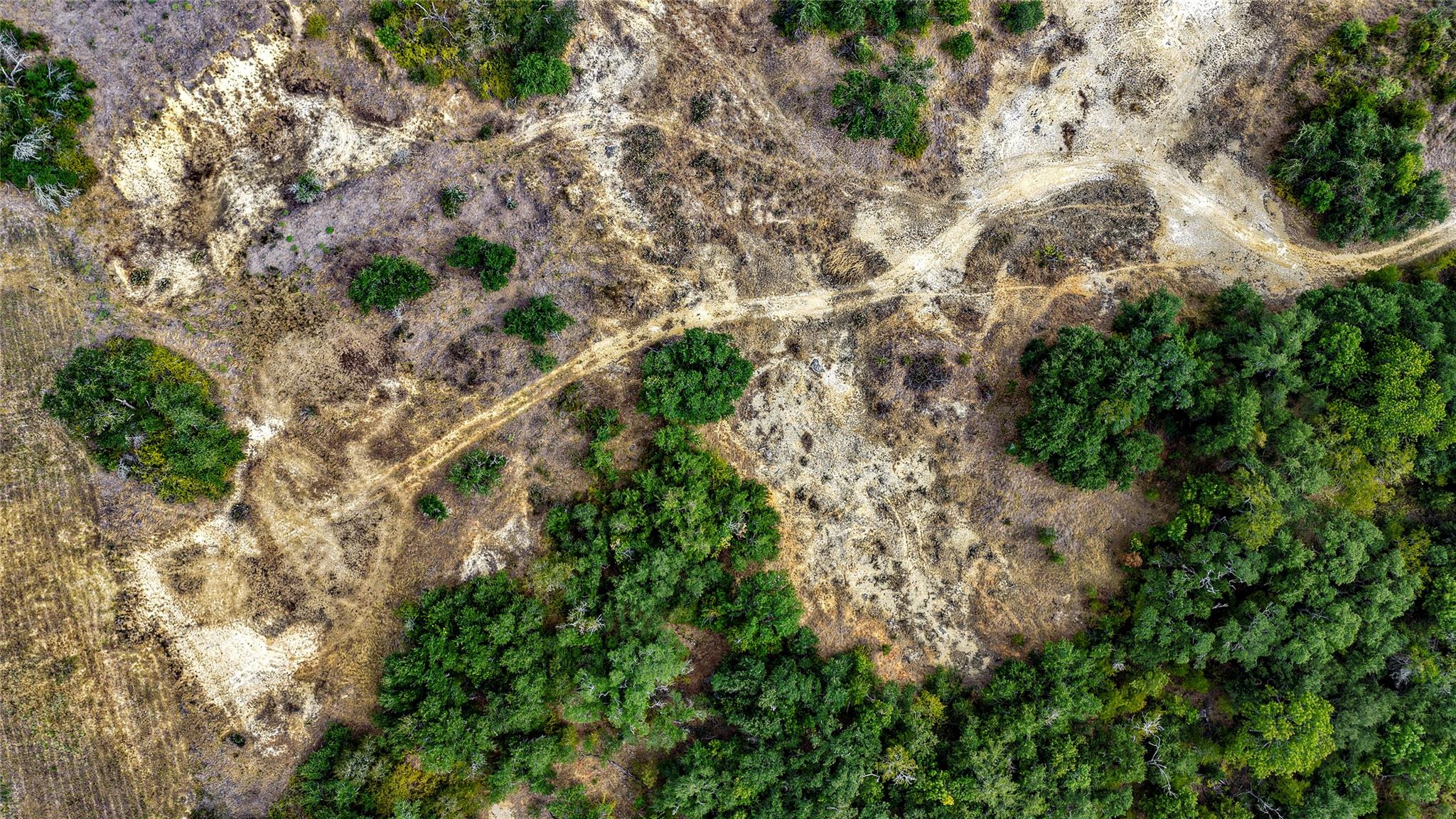 TBD CR 405, Buckholts, TX 76518 photo 5