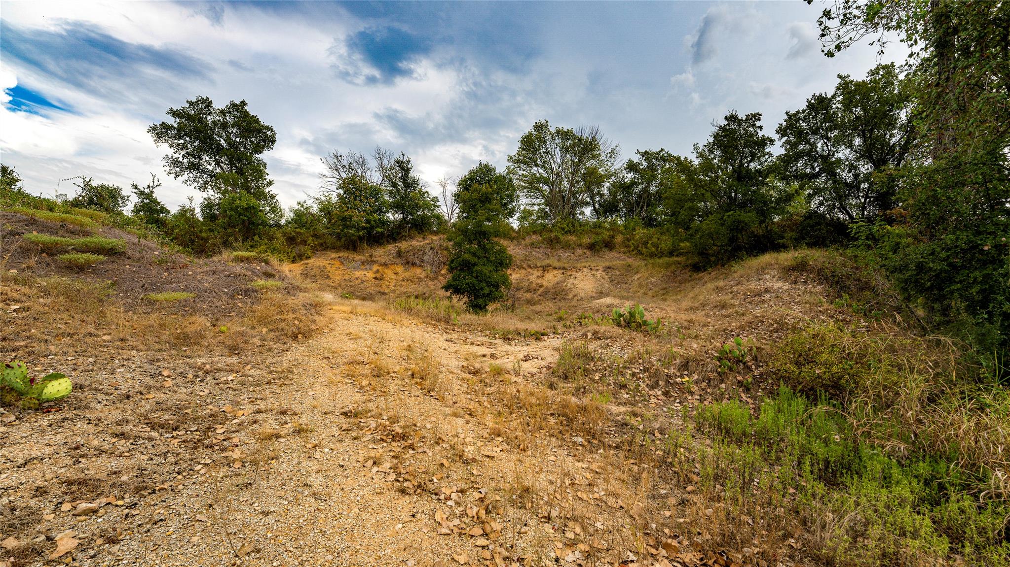 TBD CR 405, Buckholts, TX 76518 photo 4