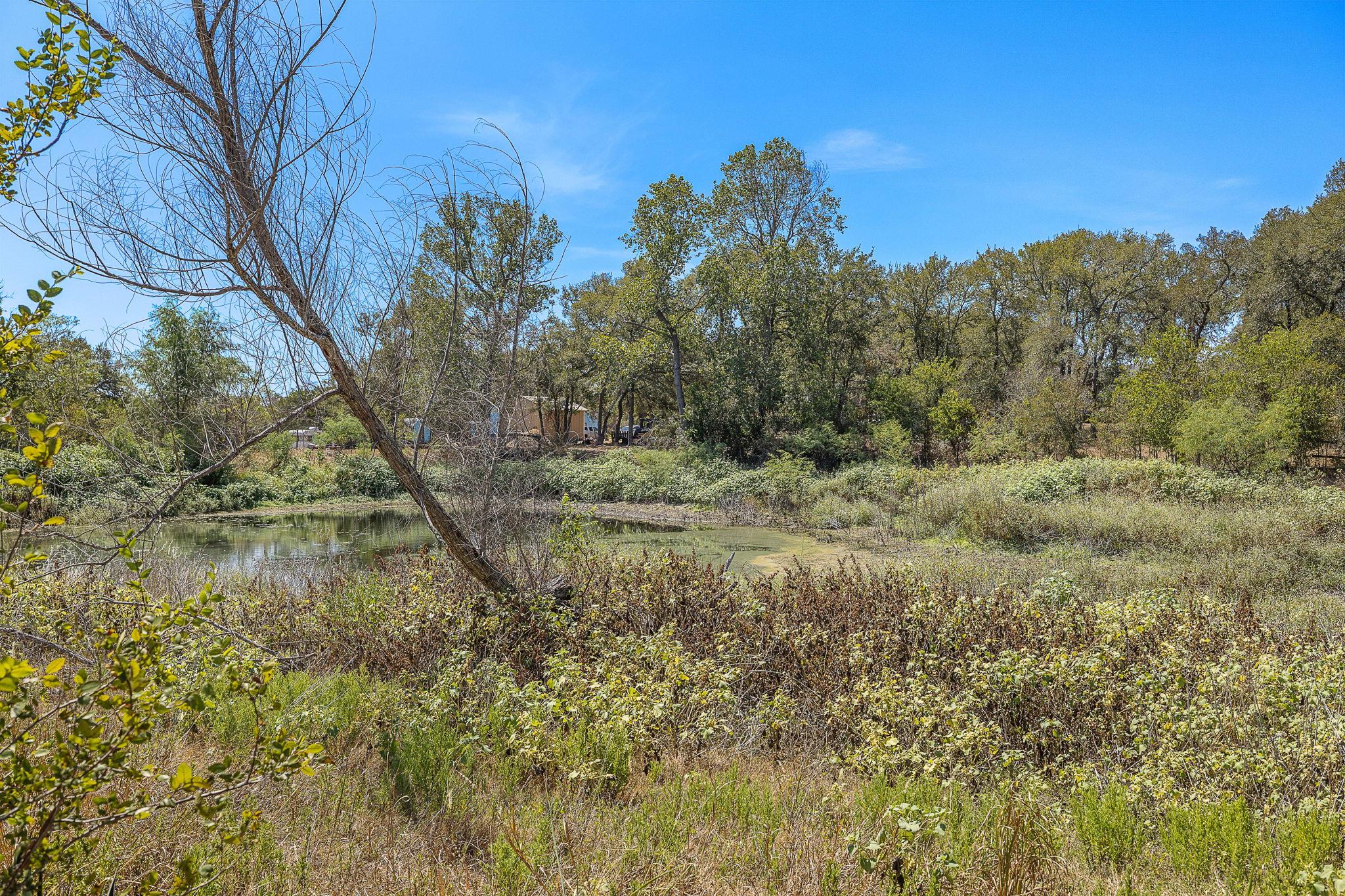 349 Forest Lake DR, Del Valle, TX 78617 photo 4