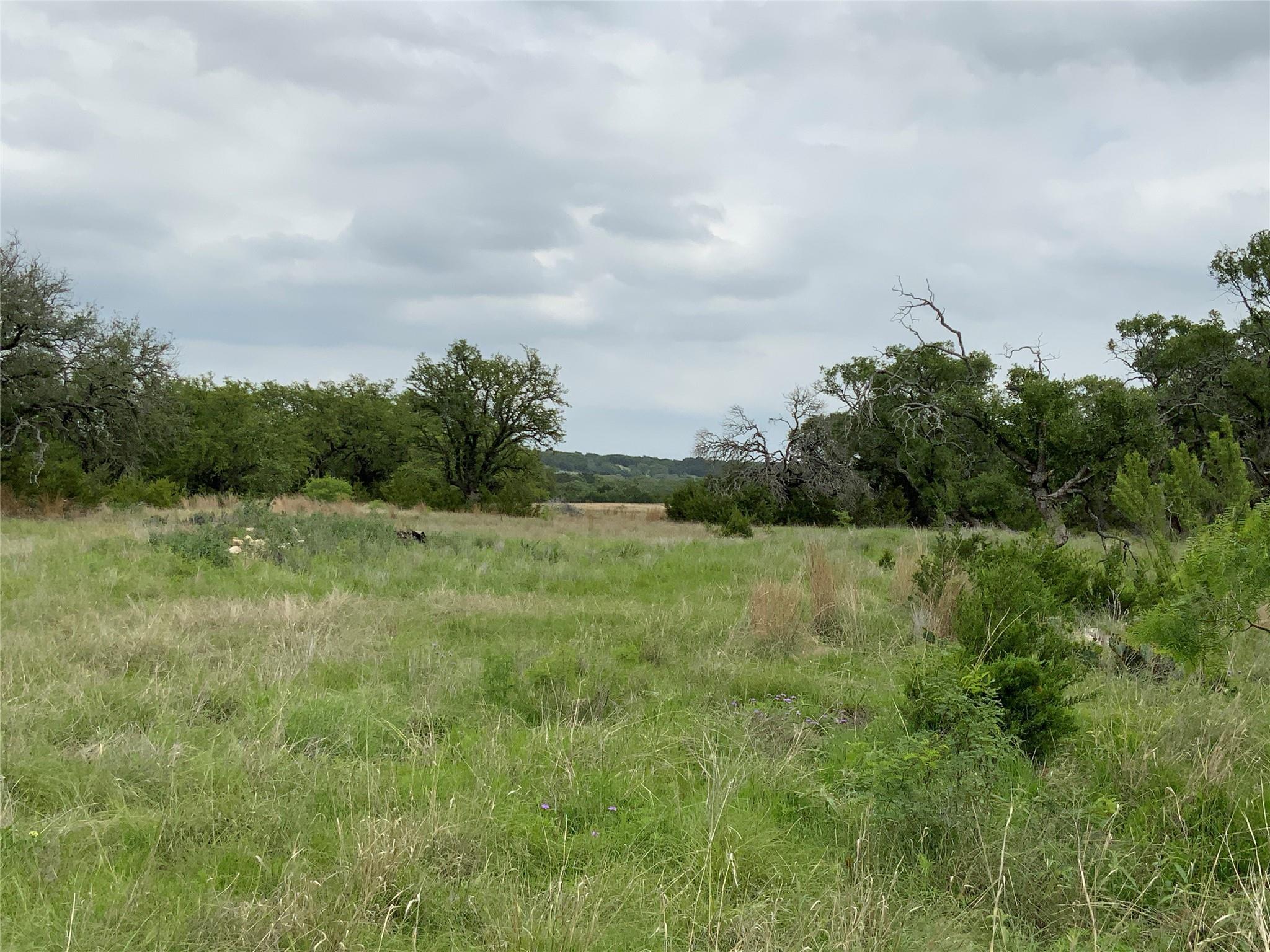 518 County Road 1403, Lometa, TX 76853 photo 5