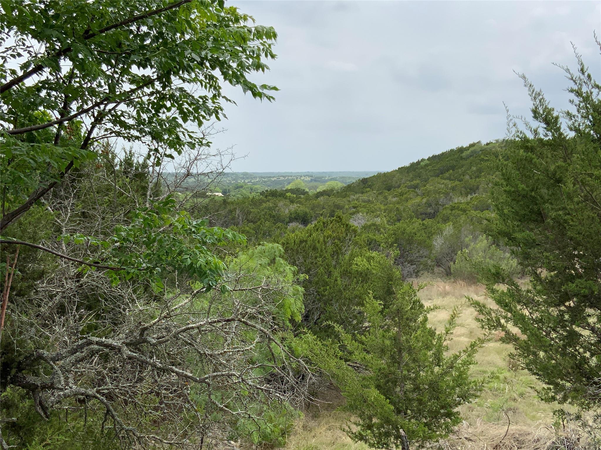 518 County Road 1403, Lometa, TX 76853 photo 4