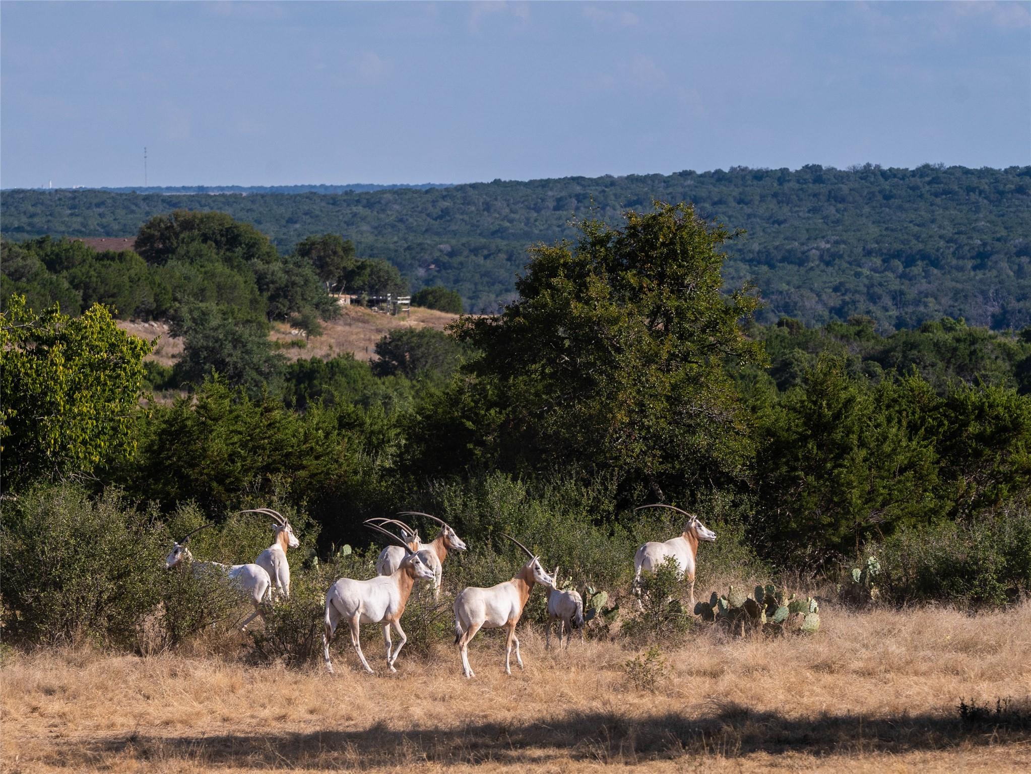River Hills Ranches Ph 1 Ranch