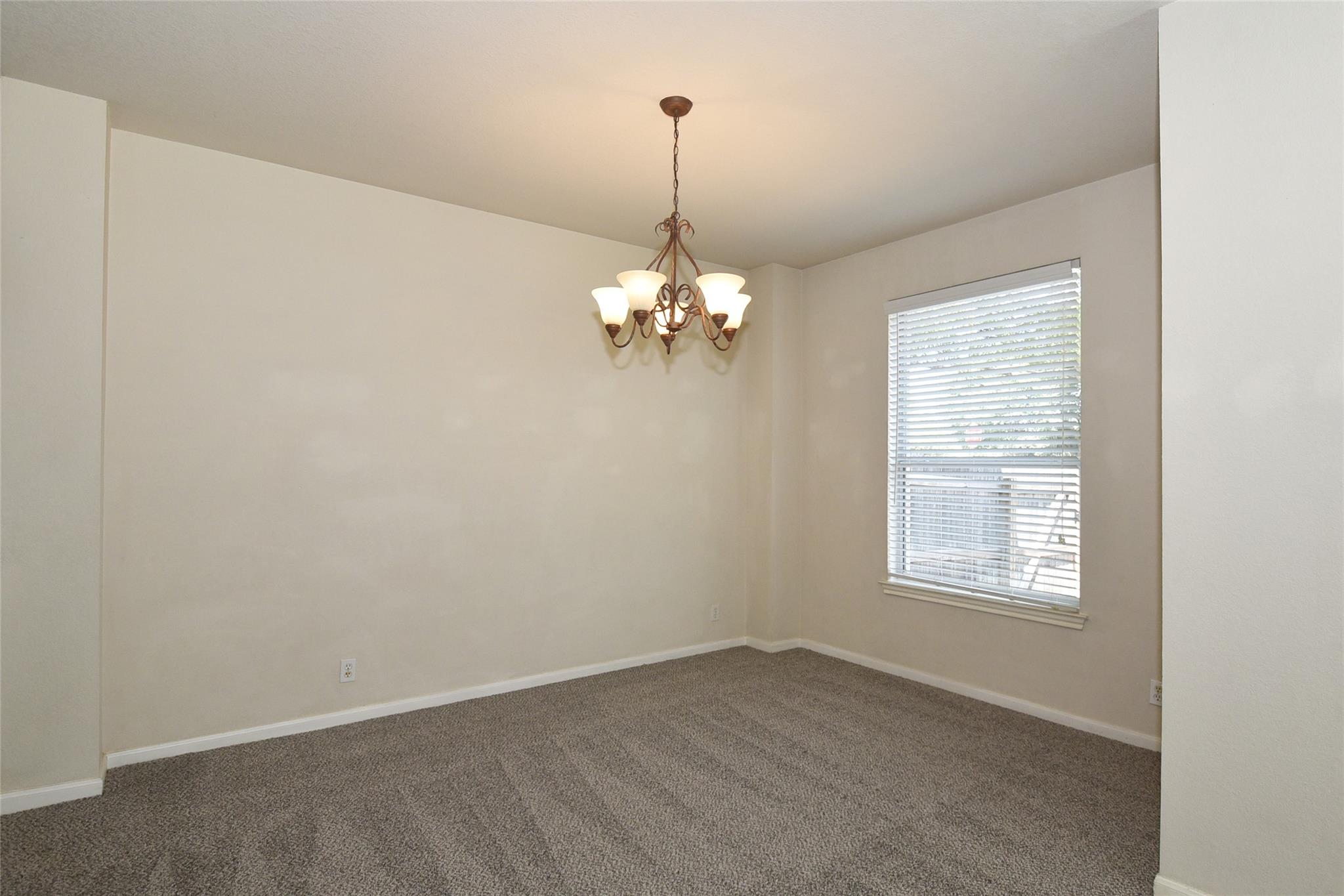 16807 Luckenwald DR, Round Rock, TX 78681 photo 5