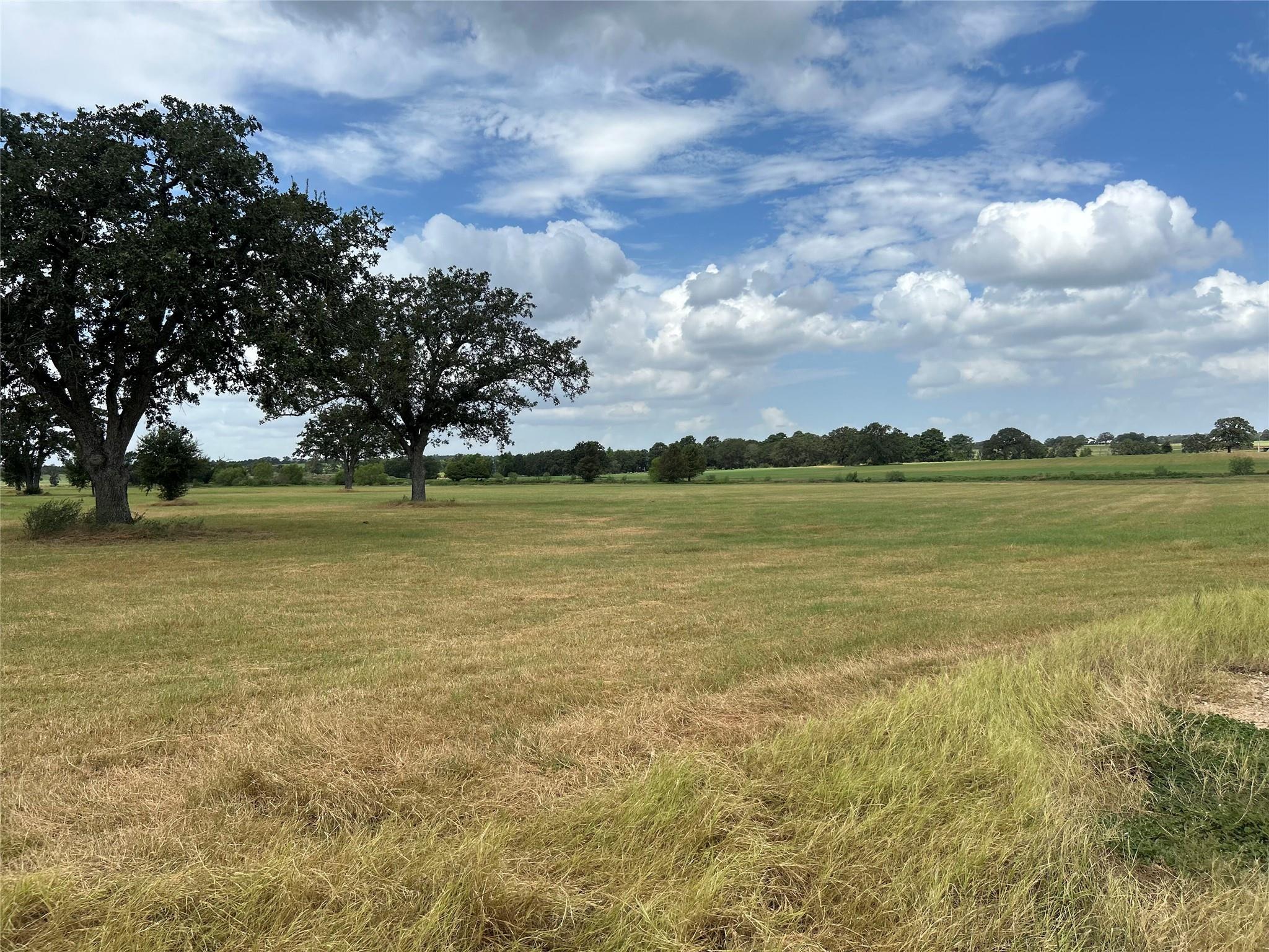 000 Old Potato RD, Paige, TX 78659 photo 2