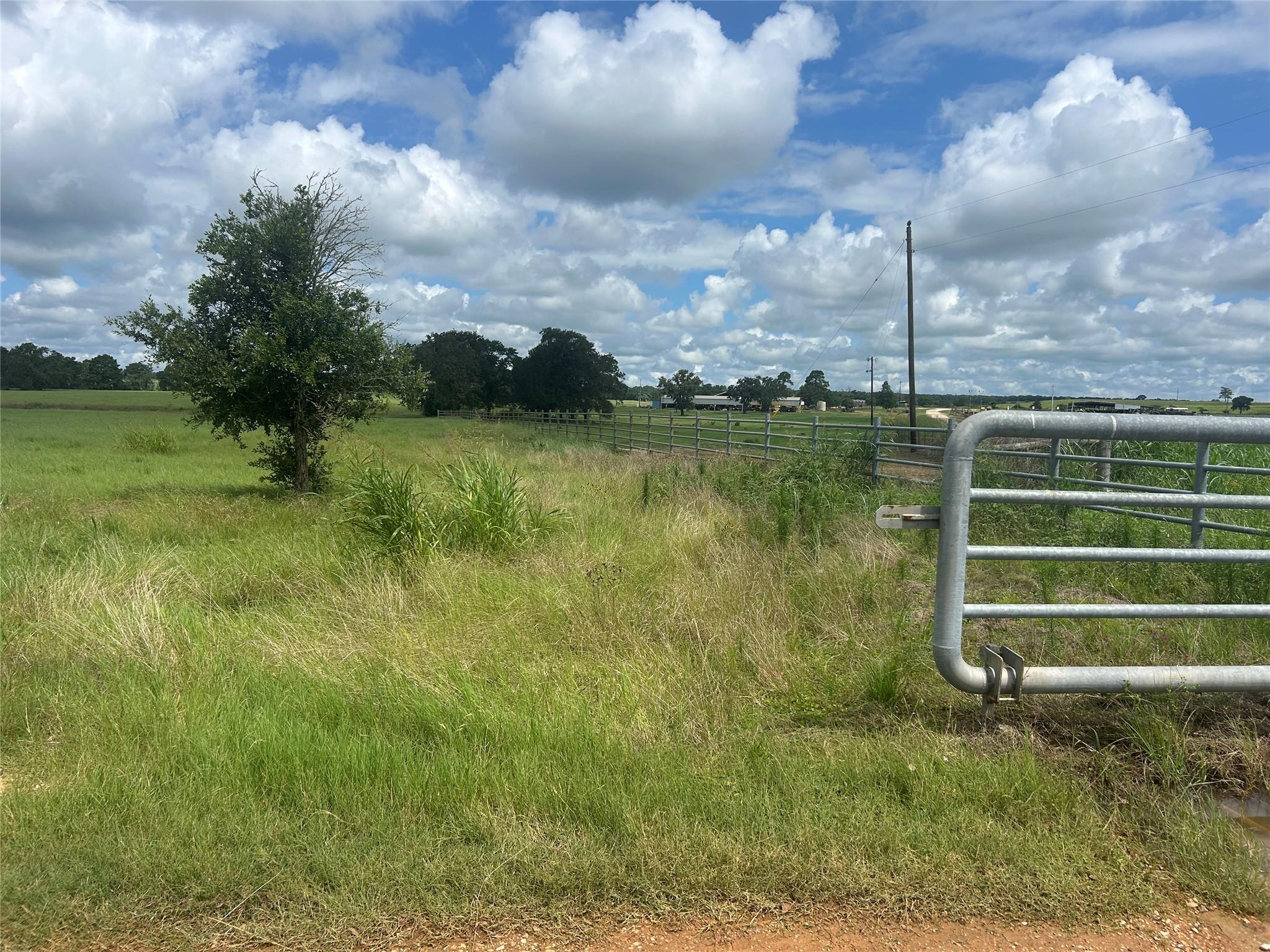 000 Old Potato RD, Paige, TX 78659 photo 3