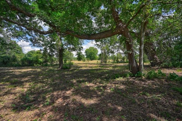 TBD Pryor Road, Brookshire, TX 77423 photo 2