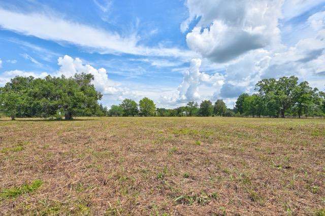 TBD Pryor Road, Brookshire, TX 77423 photo 3