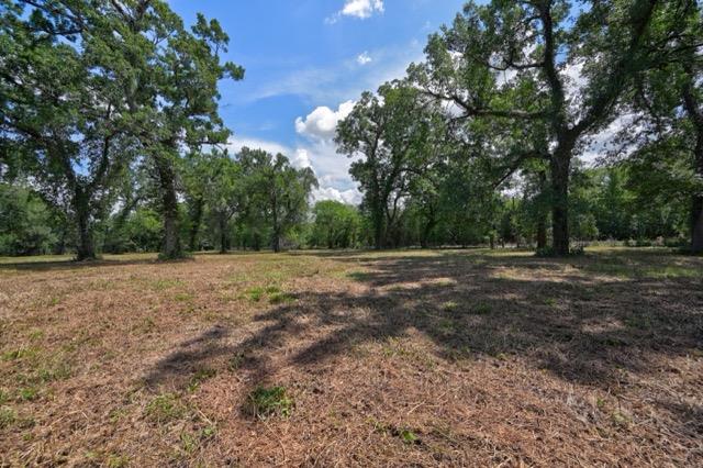 TBD Pryor Road, Brookshire, TX 77423 photo 4
