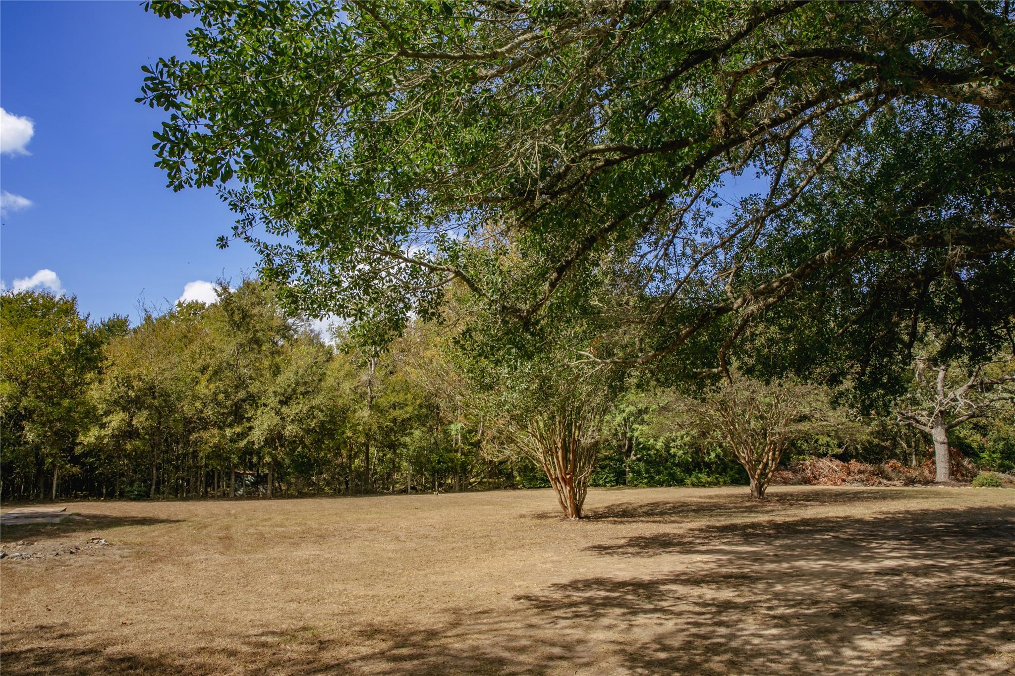 845 2nd ST, Somerville, TX 77879 photo 3