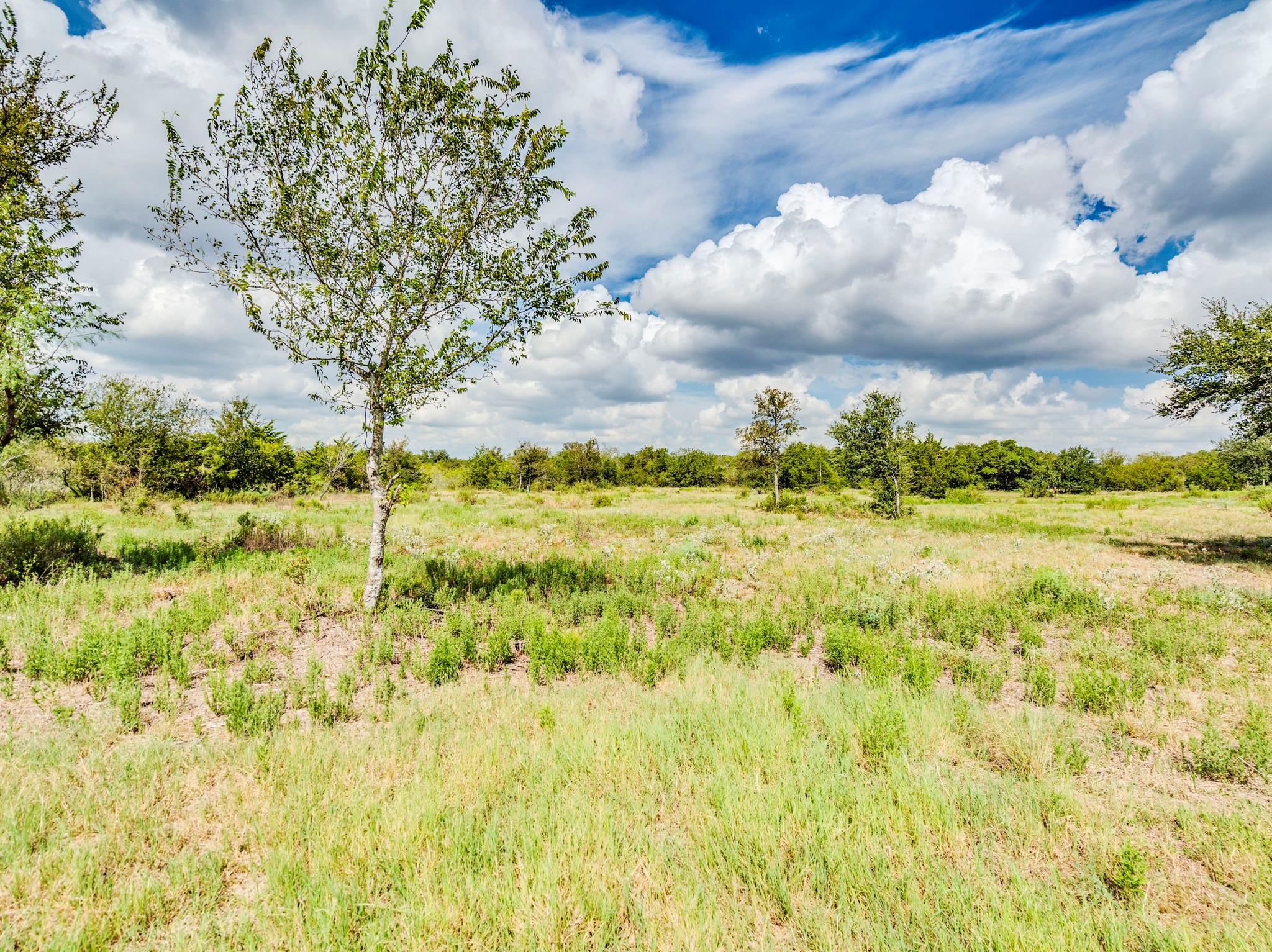 120 Hillcrest LN, Dale, TX 78616 photo 4