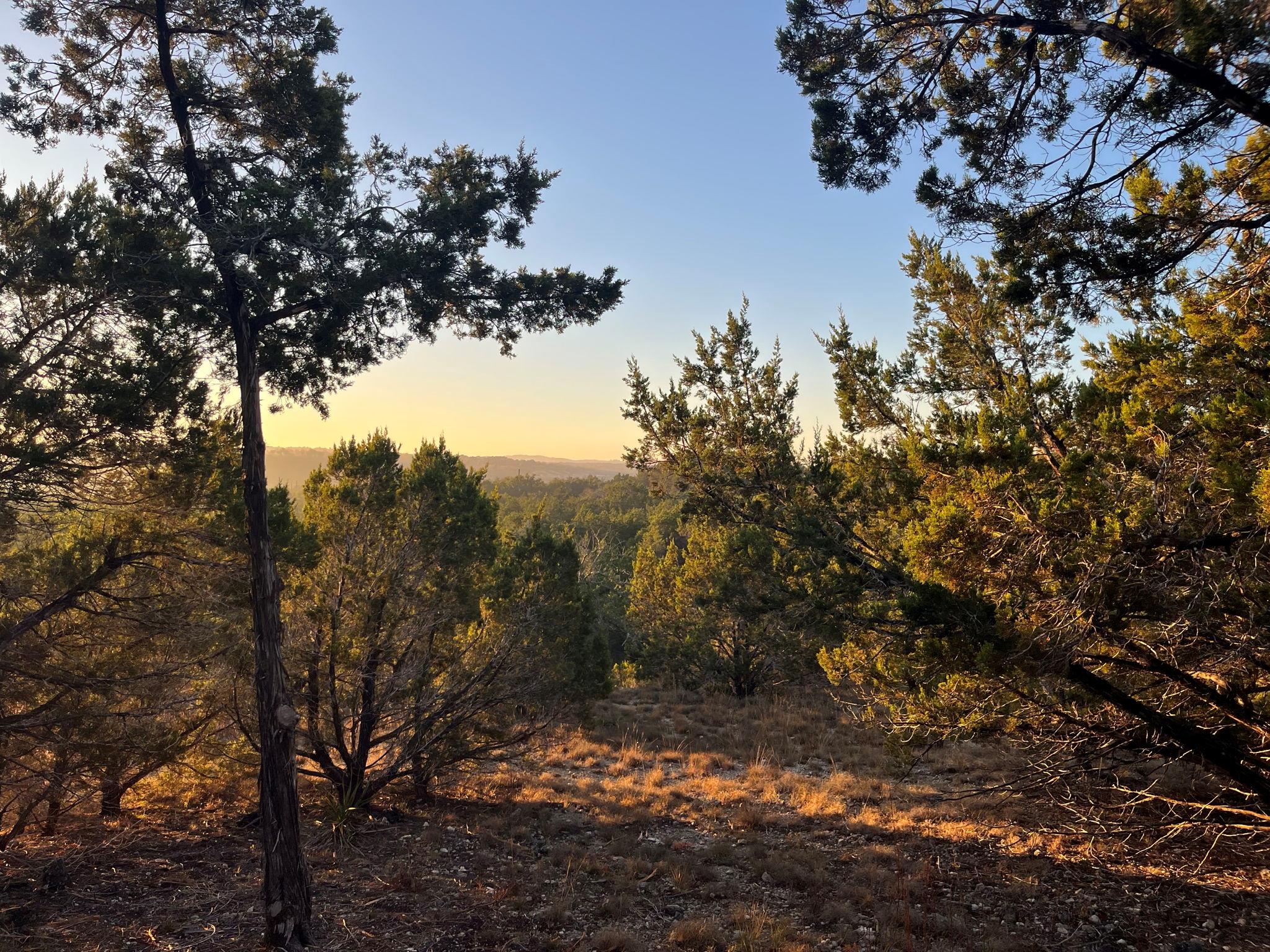 Mountain Creek