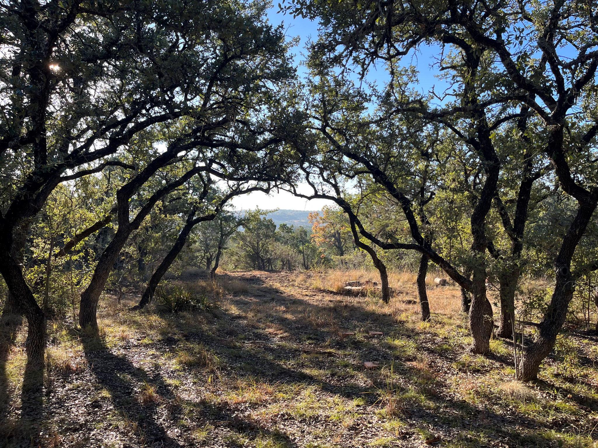 TBD Lost Oak TRL, Johnson City, TX 78636 photo 5