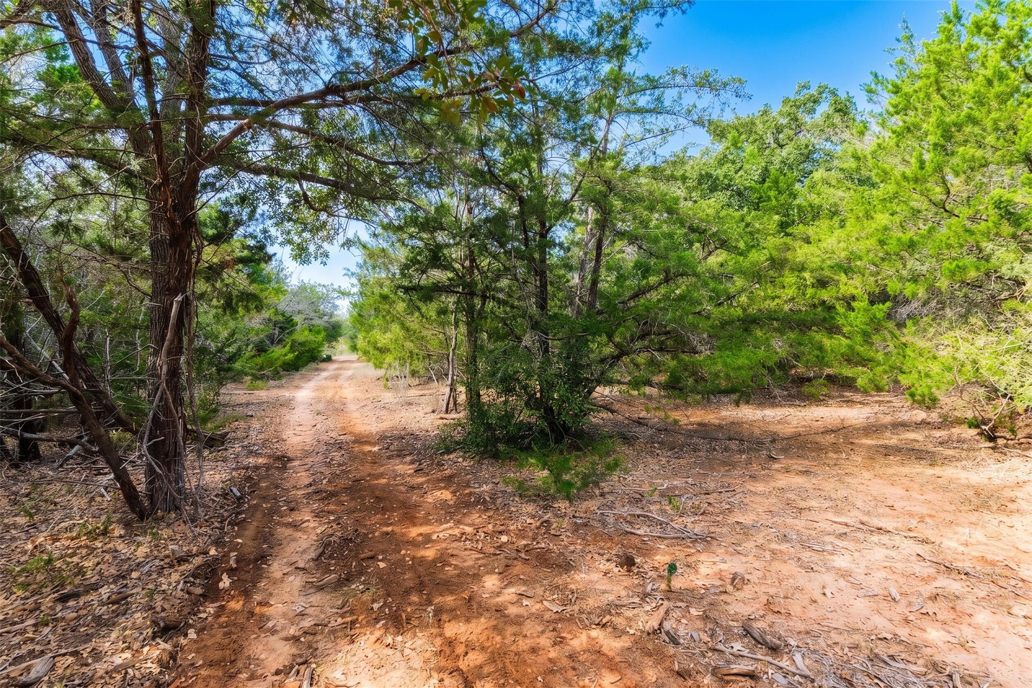 W W & Willie Mae Estate