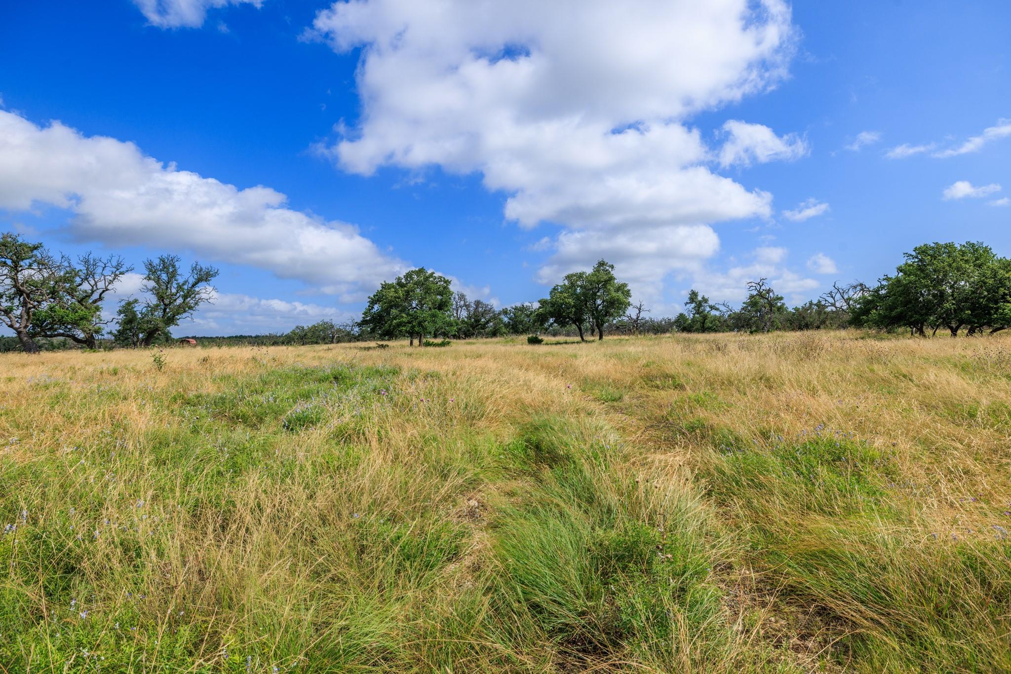 The Oaks at Stevens Ranch