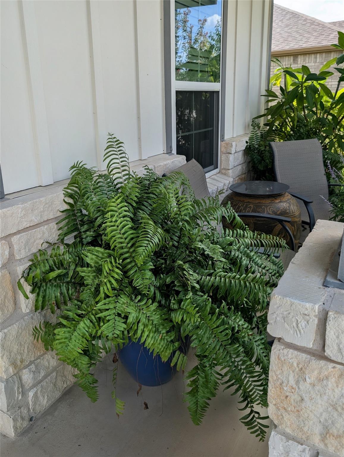 336 Kitty Hawk RD, Georgetown, TX 78633 photo 3