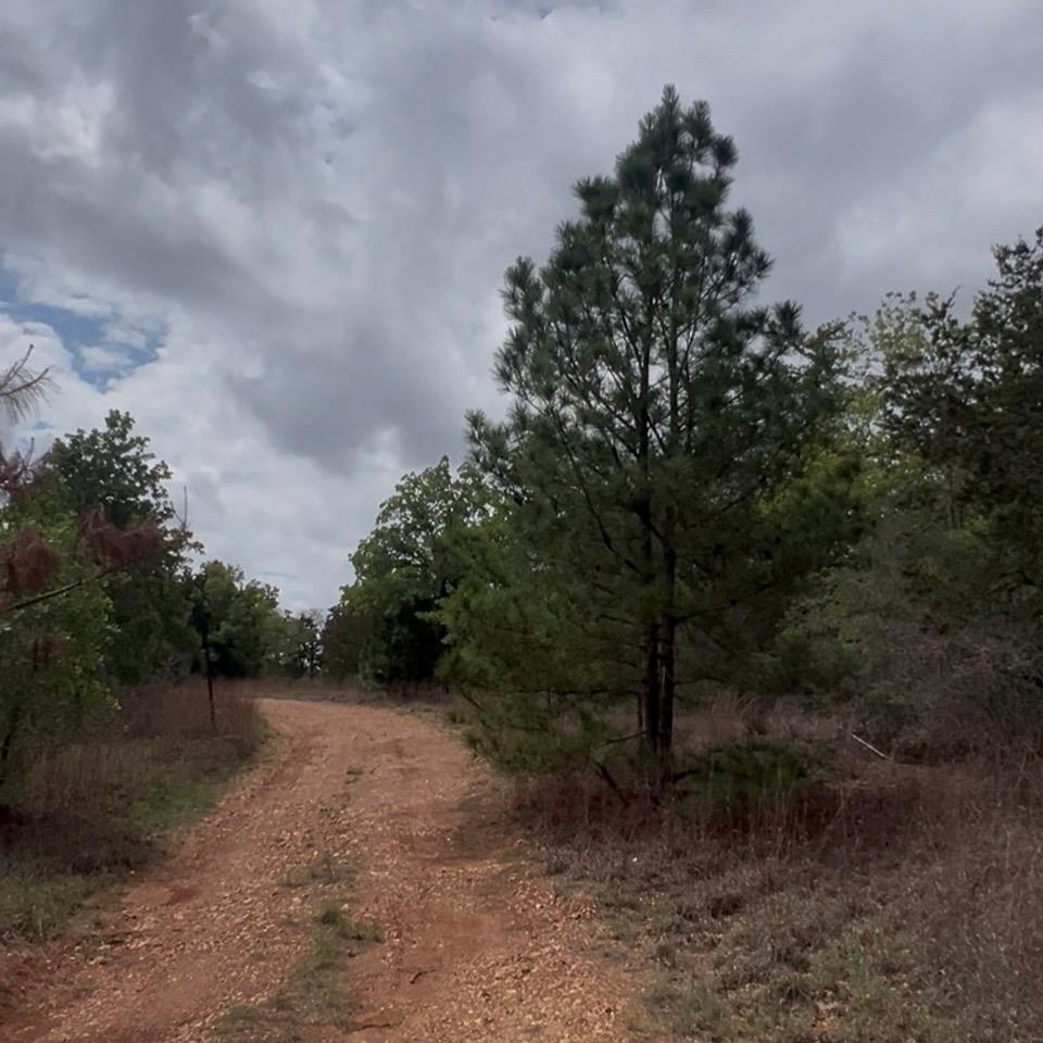 Lot 7 S Old Potato RD, Paige, TX 78659 photo 3