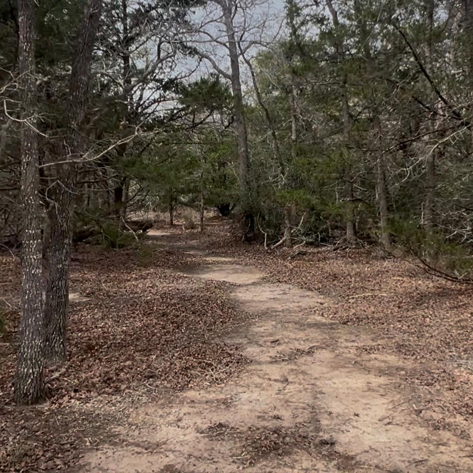 Lot 7 S Old Potato RD, Paige, TX 78659 photo 5