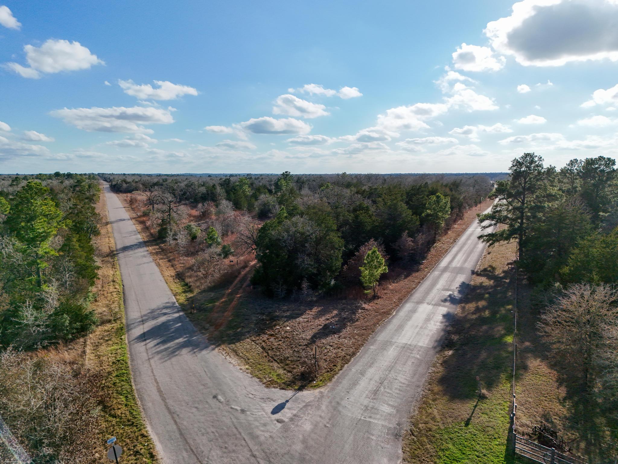 Lot 14 & Lot 15 Antioch RD, Paige, TX 78659 photo 2