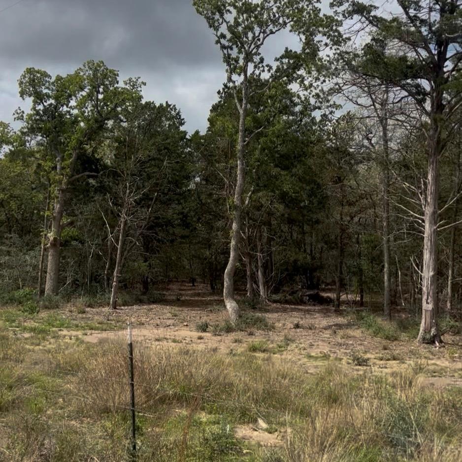 Lot 14 & Lot 15 Antioch RD, Paige, TX 78659 photo 5