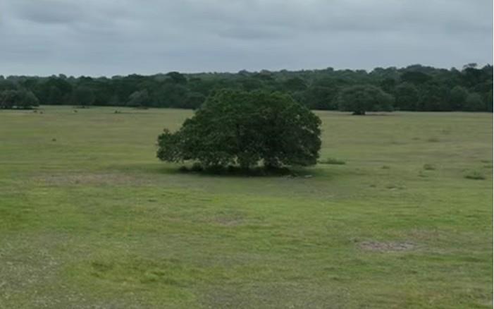 TBD CR 127 Lot 1, Block 1 County Road 127 RD, Ledbetter, TX 78946 photo 5