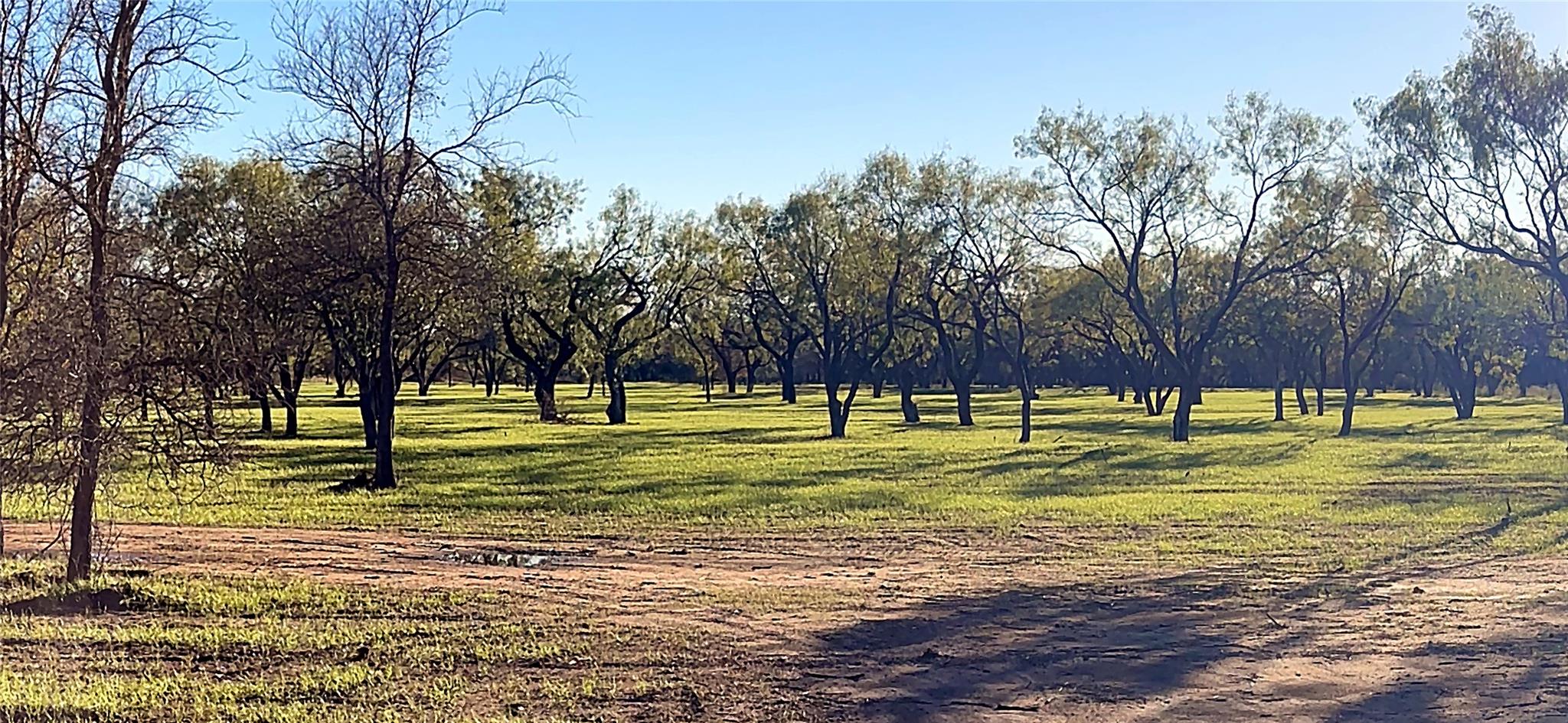 6417 County Road 120, Marble Falls, TX 78654 photo 2
