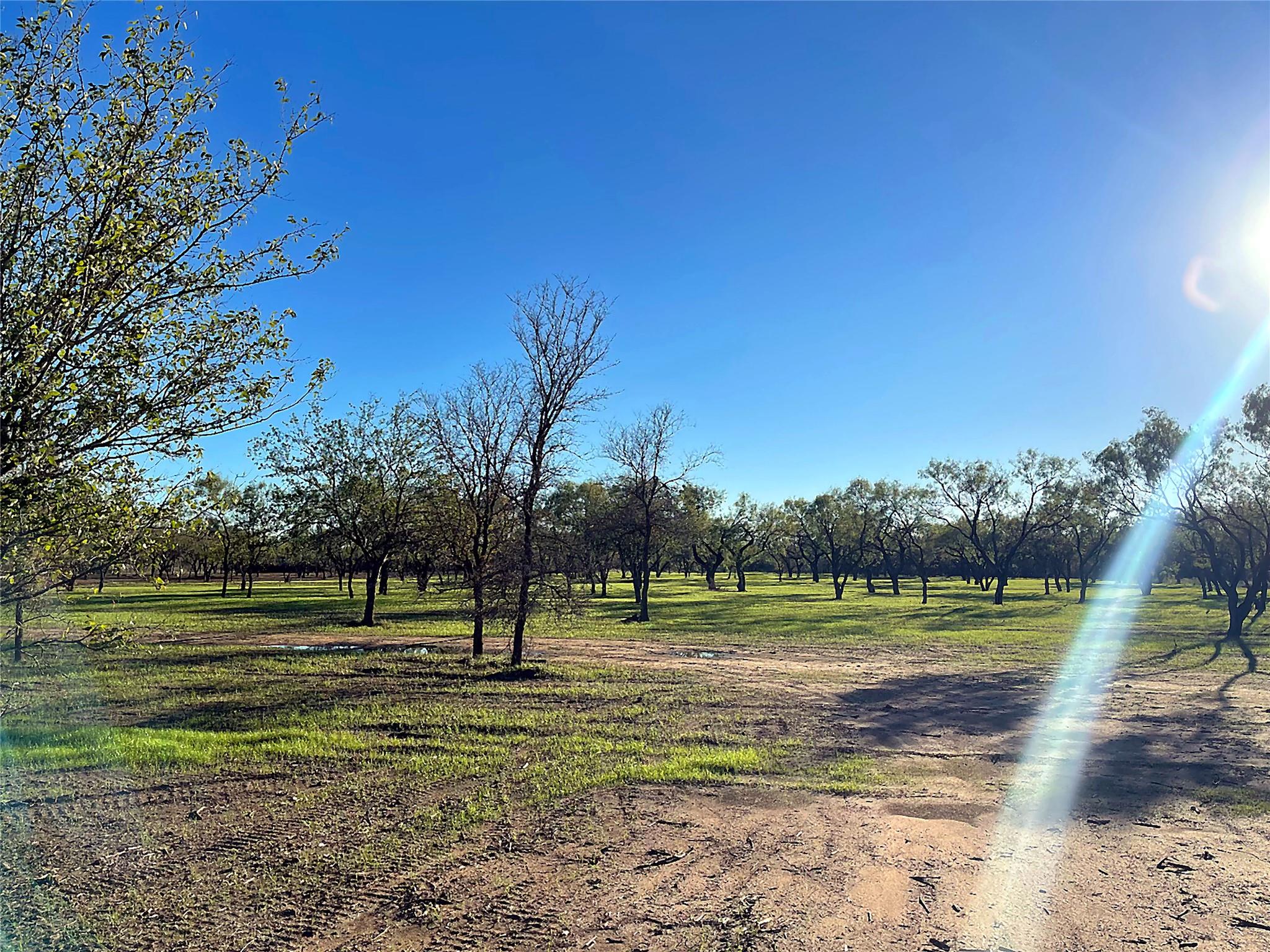 6417 County Road 120, Marble Falls, TX 78654 photo 3