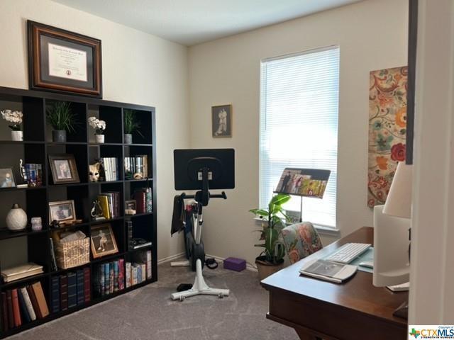 410 Autumn Rouge, New Braunfels, TX 78130 photo 3