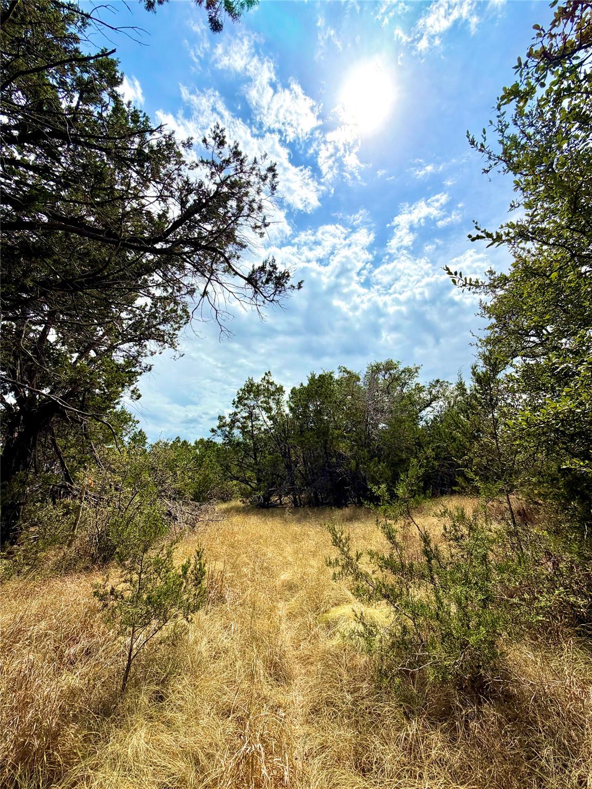 2519 George PASS, Canyon Lake, TX 78133 photo 2