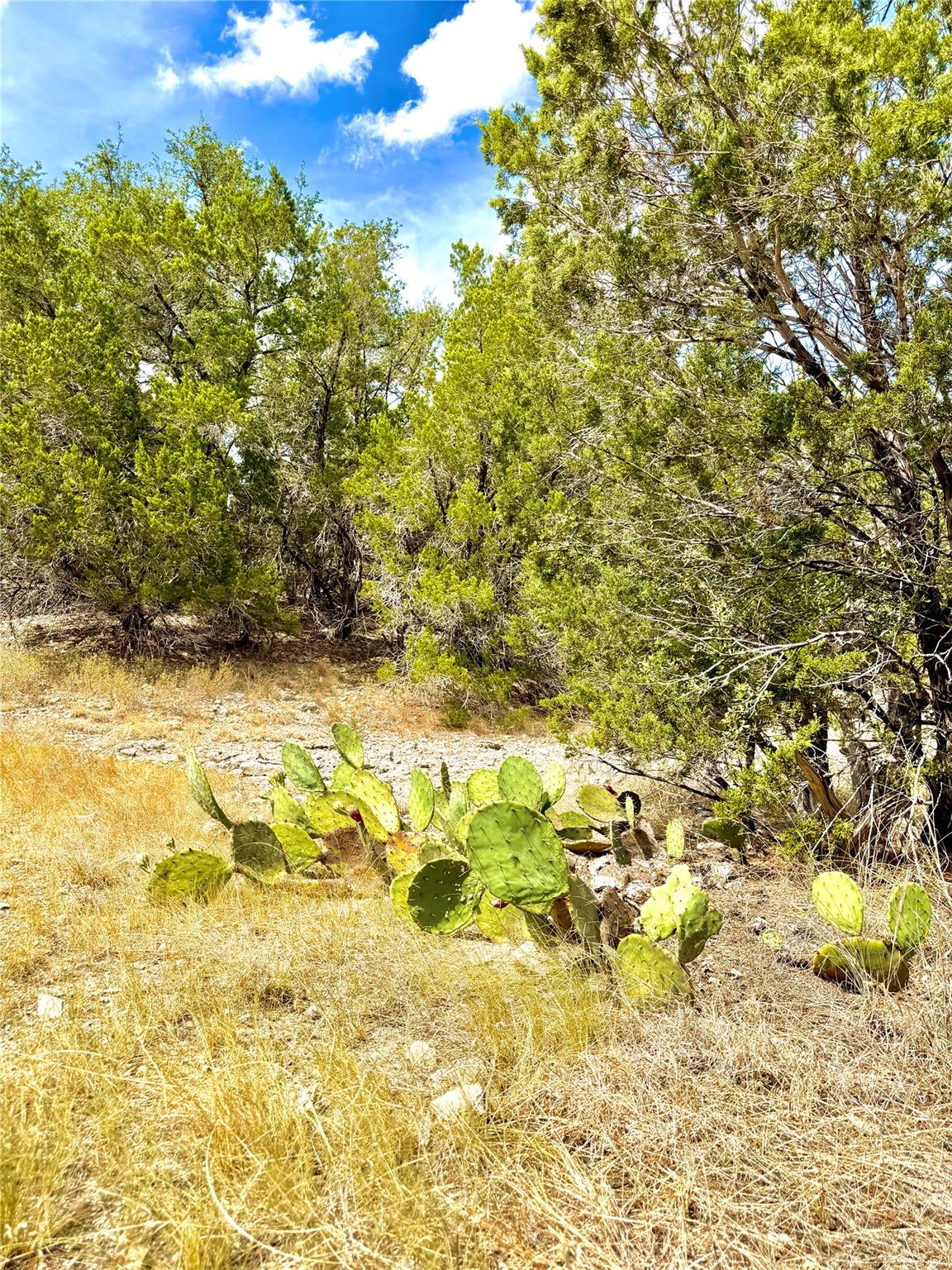 2519 George PASS, Canyon Lake, TX 78133 photo 3