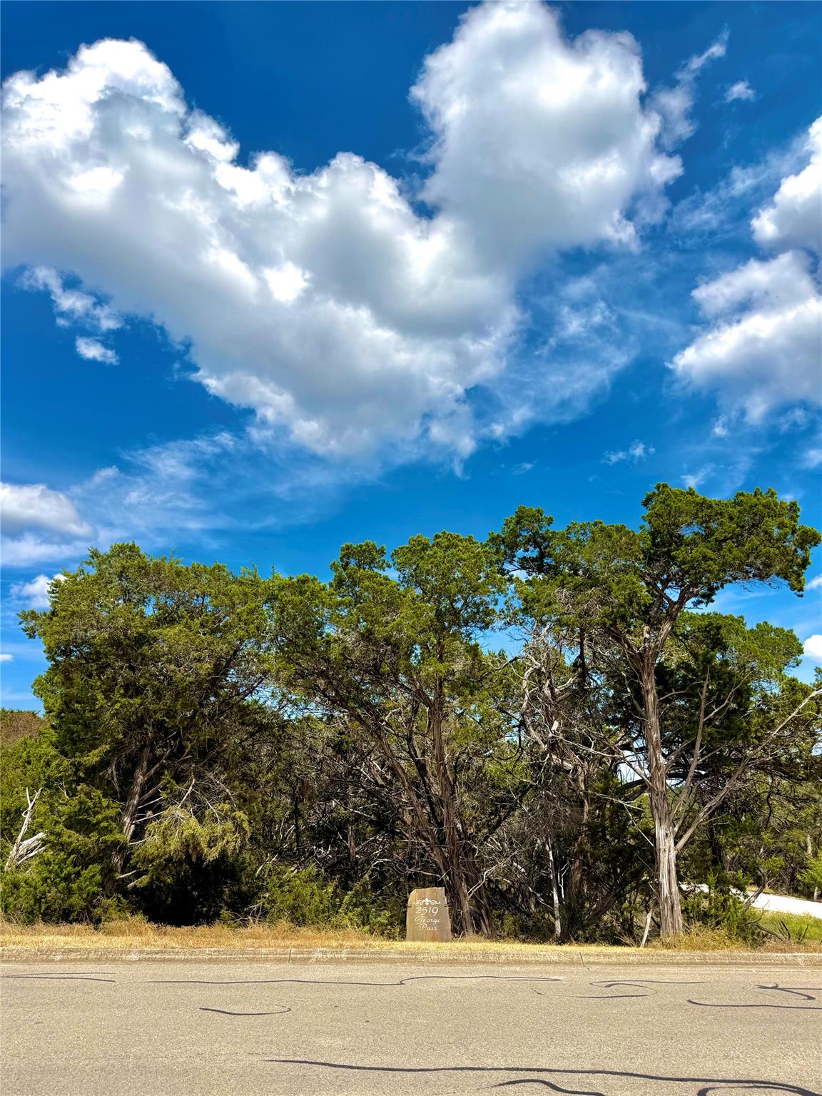 2519 George PASS, Canyon Lake, TX 78133 photo 4
